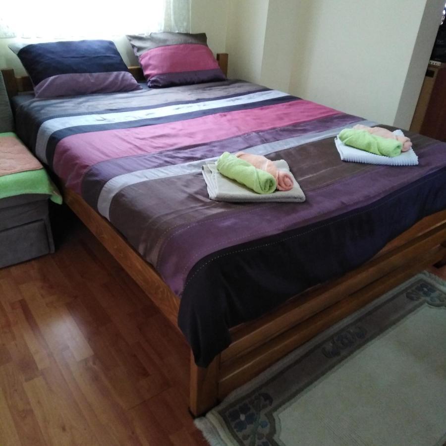 Apartman Sasa บันยา โควิลยาชา ภายนอก รูปภาพ