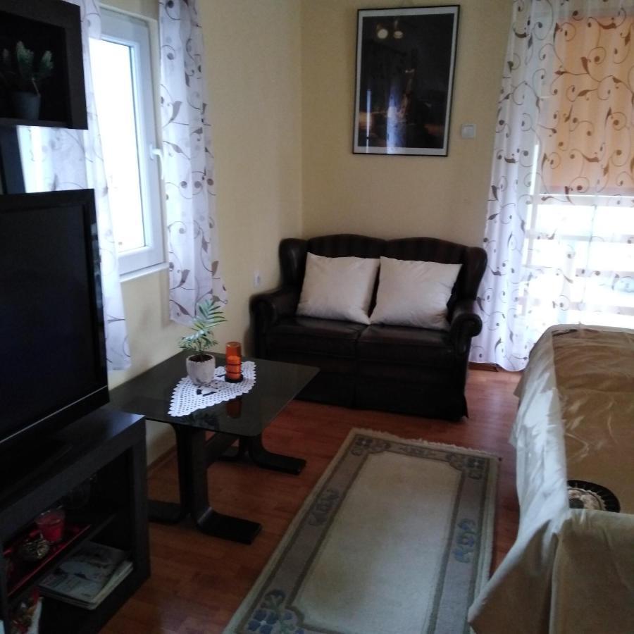 Apartman Sasa บันยา โควิลยาชา ภายนอก รูปภาพ